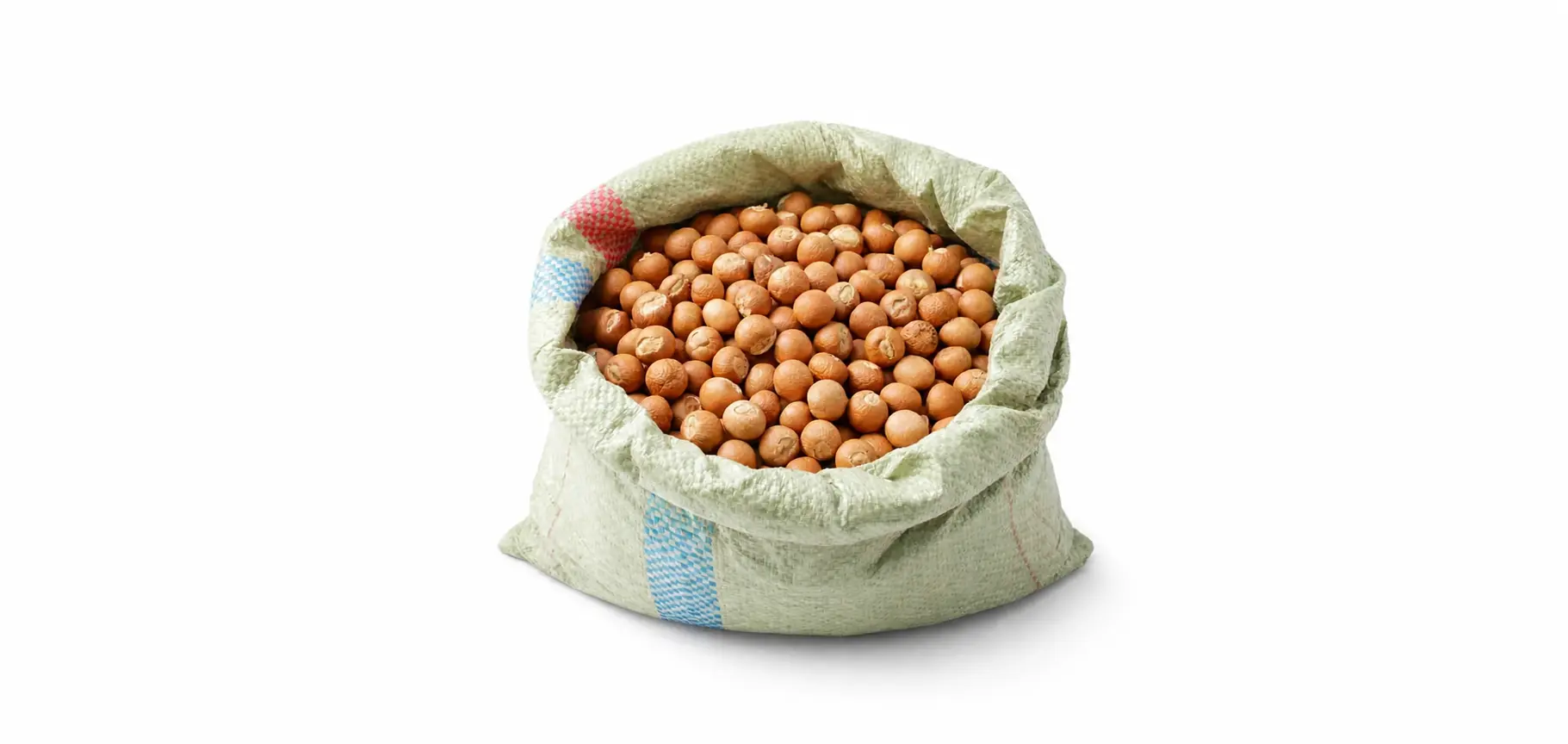 Areca Nut / Betel Nut